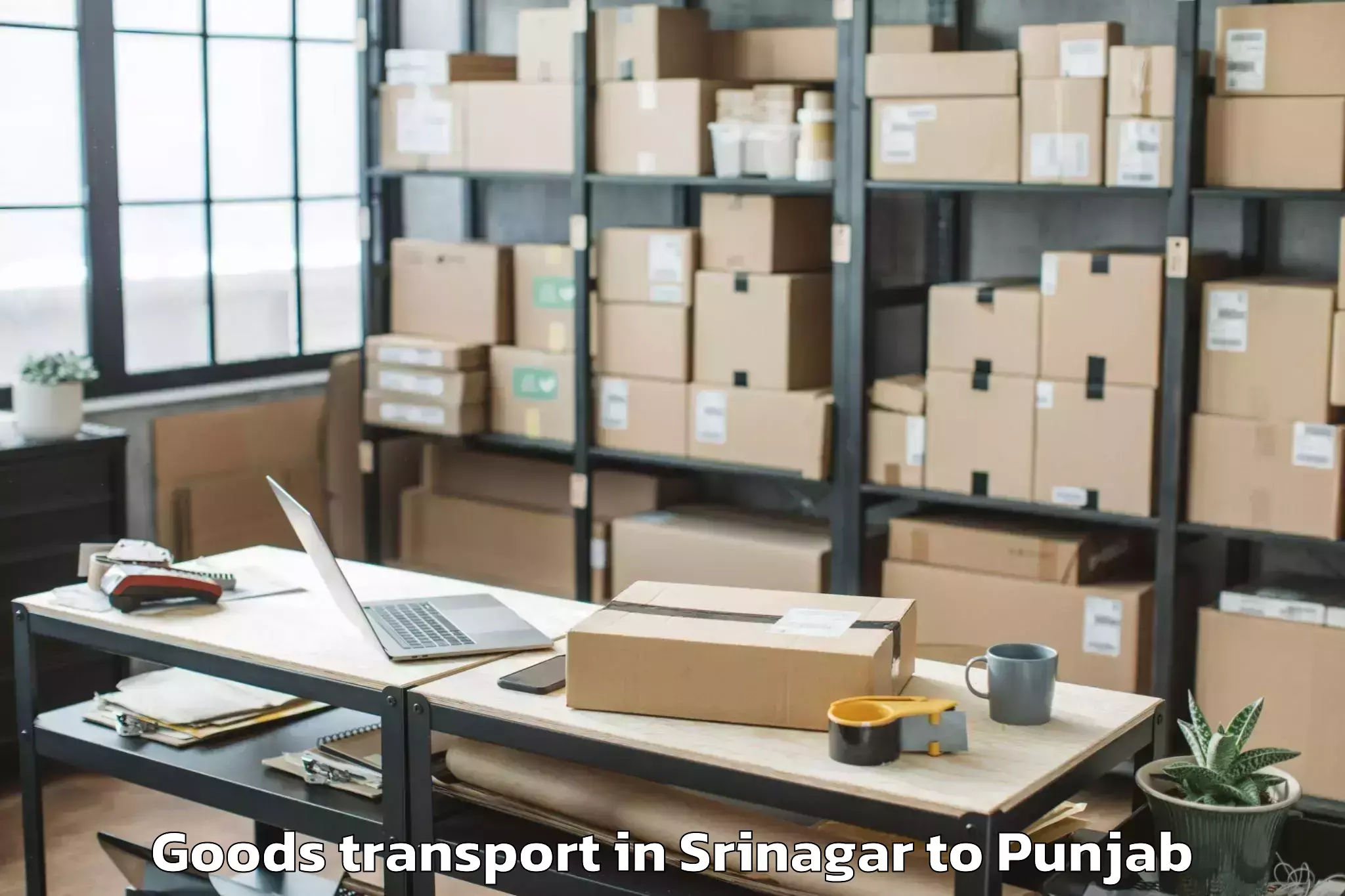 Get Srinagar to Dav University Jalandhar Goods Transport